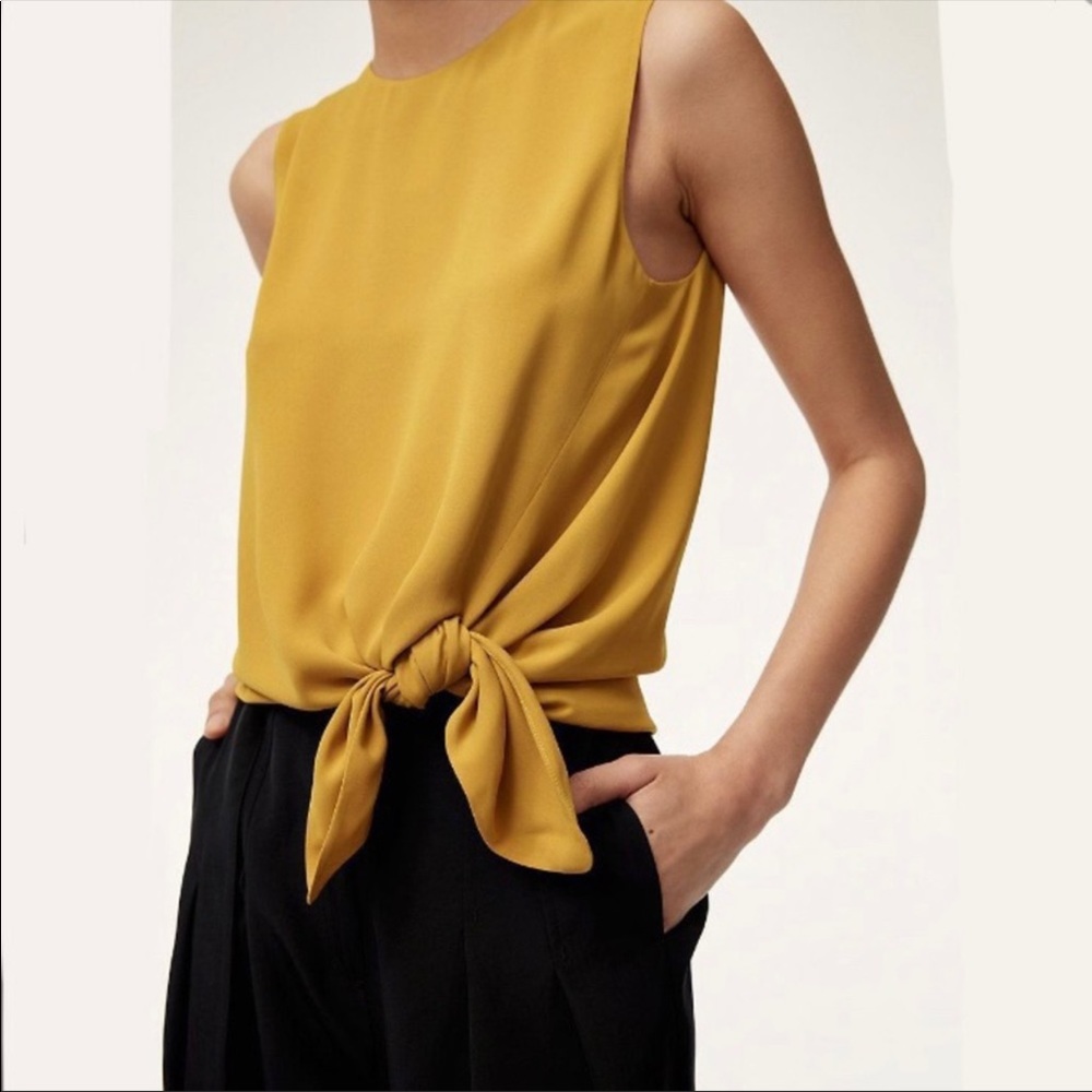 Aritzia Babaton Hopkins tank top. 💛
